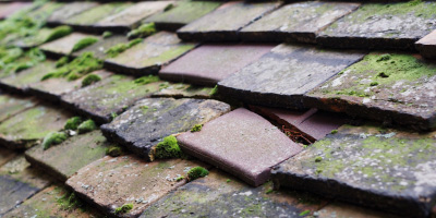 Litlington roof repair costs